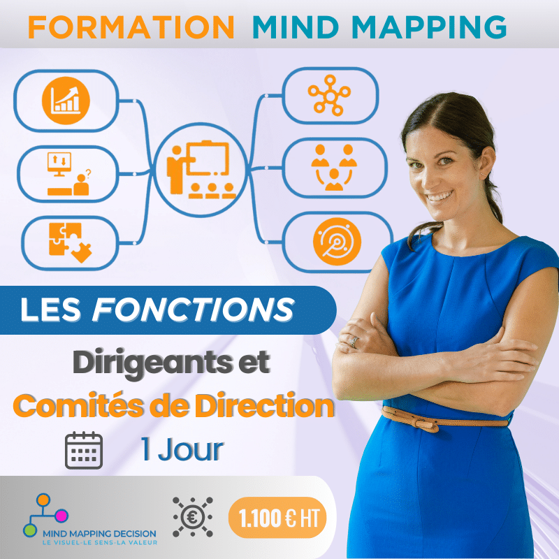 mind mapping animation codir réseau filièe stratégie