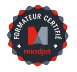 Mind Mapping Décision formateur certifié MindManager