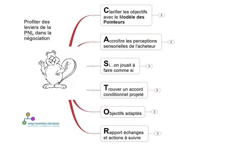 Mind Mapping Commercial utiliser les leviers d ela PNL avec les cartes mentales