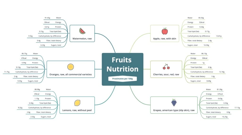 Qu'est-ce que le Mind Mapping ? Guide complet cartes mentales