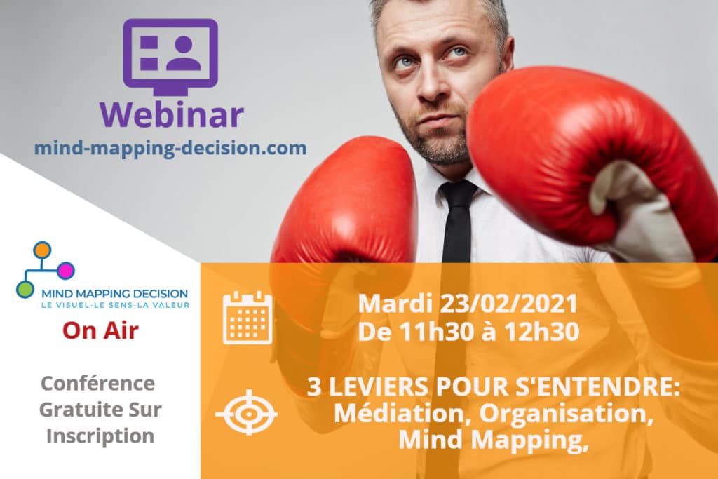 Webinar Médiation Mind Mapping Décision Intelligence Colective