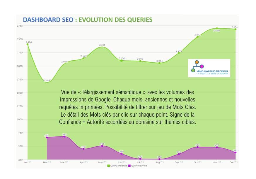 Dashboard SEO Mind-Mapping-Décision et Avizua Vue 1