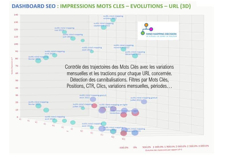 Dashboard SEO Mind-Mapping-Décision et Avizua Vue 4