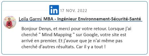 Avis sur le site Mind-Mapping-Décision 2022