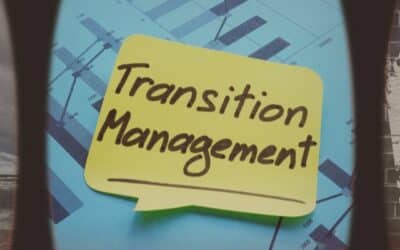 Manager de Transition : méthodes et outils de la crise au succès