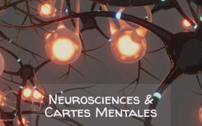 Devenir Meilleur Formateur Cartes Mentales avec les Neurosciences (Bilan 5 ans)
