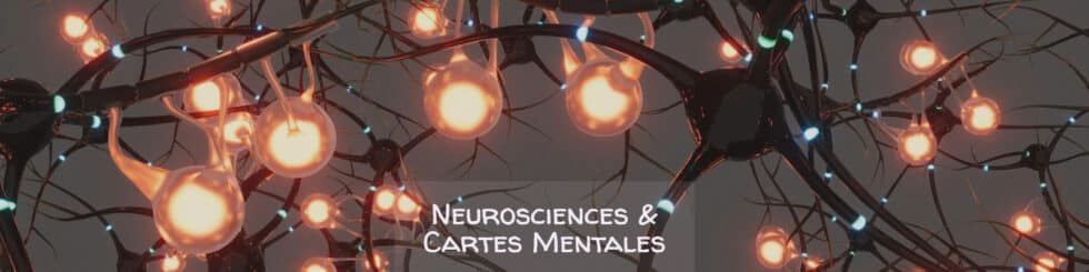 Meilleur Formateur Cartes Mentales avec les Neurosciences