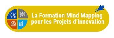 Formation de Mind Mapping Décision dédiée à l'Innovation produit